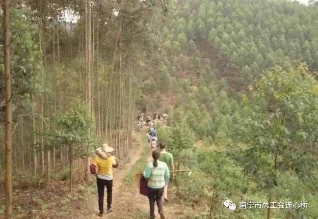 广西人拜山有什么禁忌_广西人拜山有什么避讳