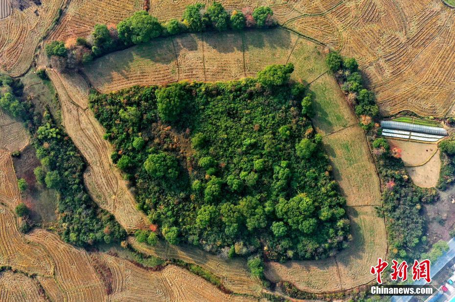 江西史前遗迹_盆形地遗址