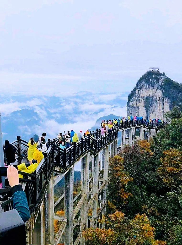 天门山4人跳崖自杀事件_家属首次发声