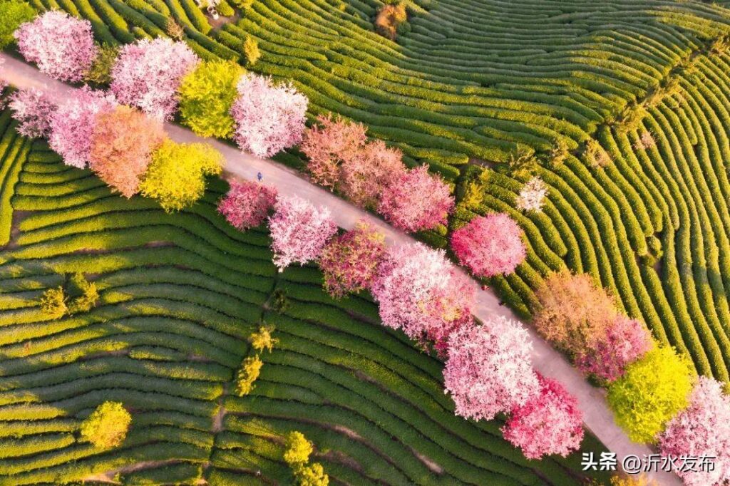 清明节其实是三个节日