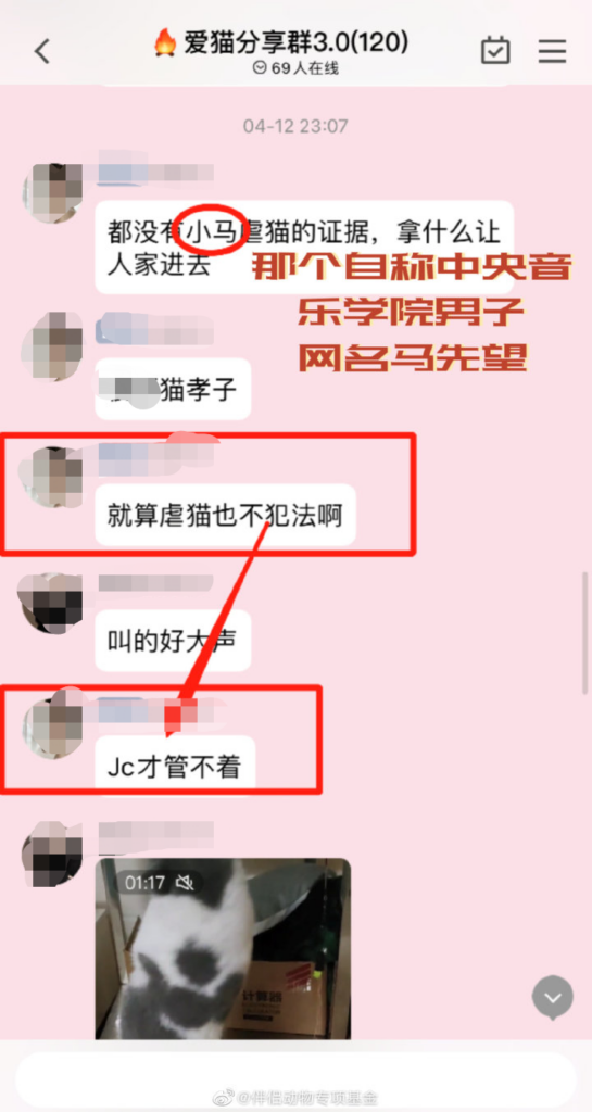 警方通报网红偷猫后在小树林虐杀