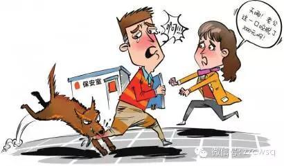 被宠物抓伤是否会得狂犬病?专家解答