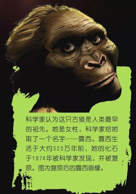 我们真是猿变的吗_人类的进化历史