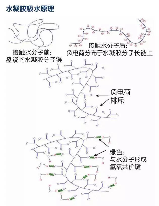 什么是水凝胶_有何影响