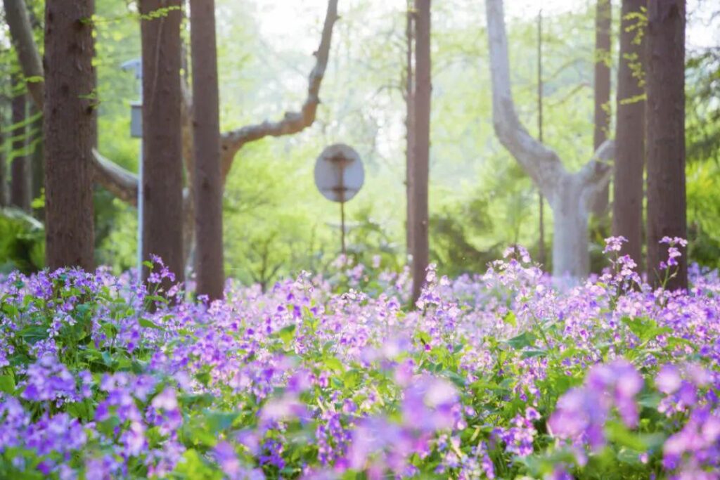 四个季节的别称_季节的各种称呼