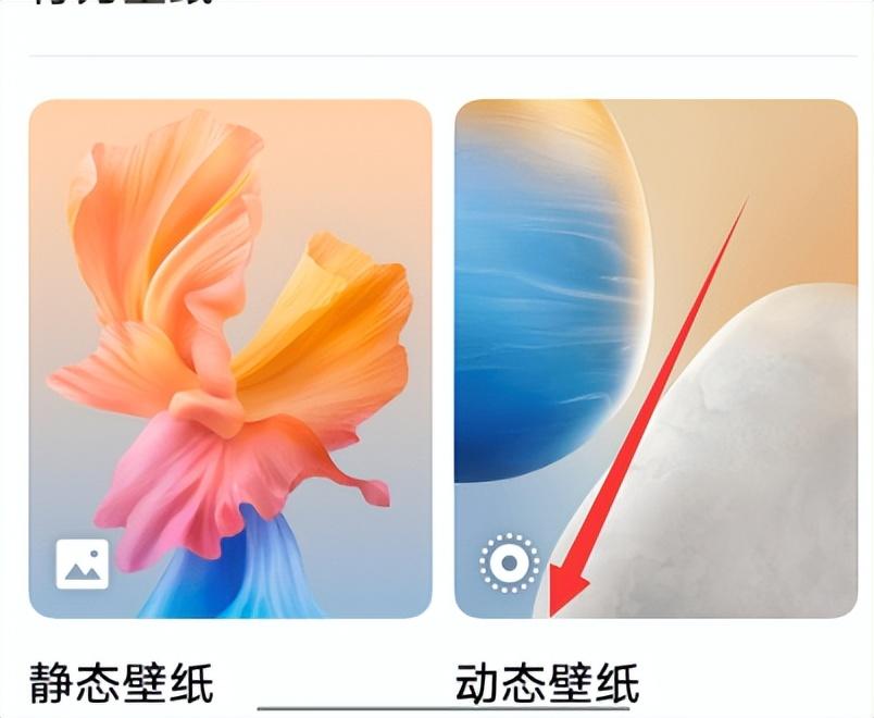vivo怎么设置动态壁纸_vivo设置动态壁纸的方法
