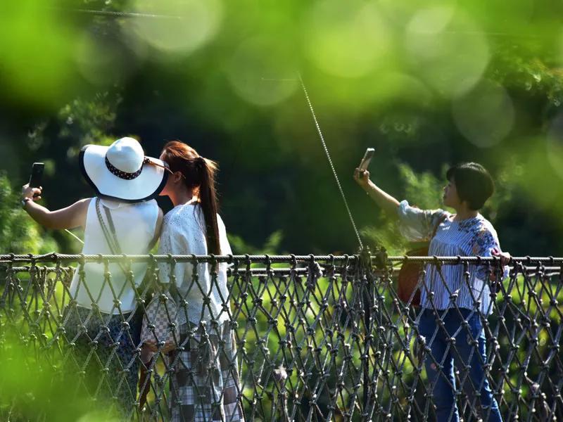 景区回应“上厕所要花55元买门票”