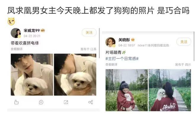 演员白鹿就曾发表不当言论道歉