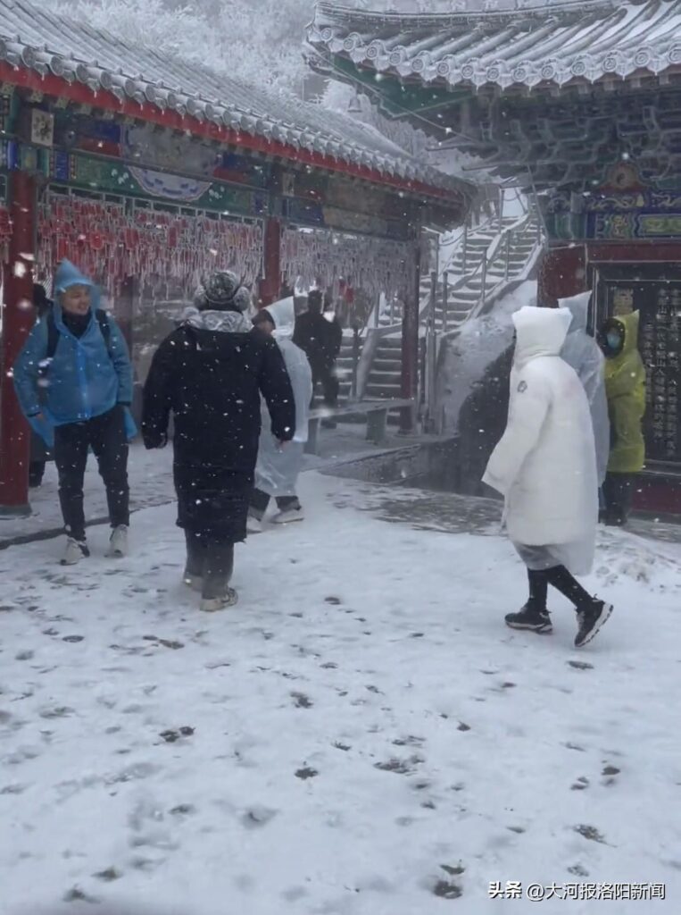 河南老君山现雨凇景观 车窗覆冰