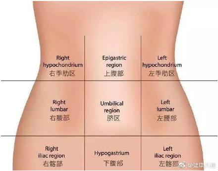 肚子痛是哪里痛_一张图告诉你