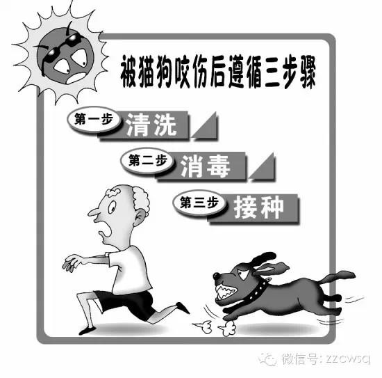 被宠物抓伤是否会得狂犬病?专家解答