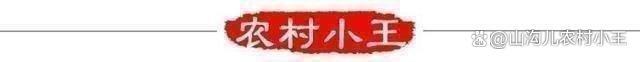 官方回应农村成立“农管”