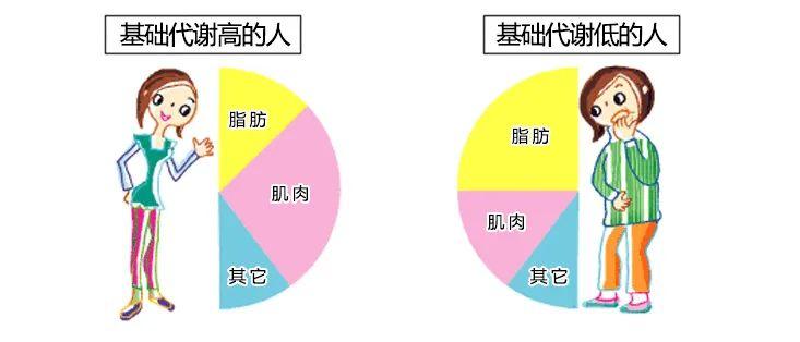 打破减肥平台期_打破减肥平台期的秘诀