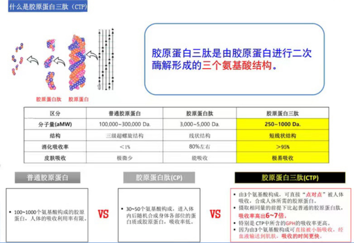 什么是胶原蛋白三肽_胶原蛋白三肽的与众不同