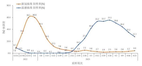 中疾控：近1周检测阳性率波动增加