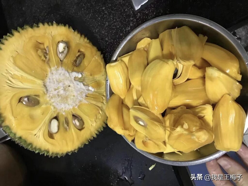 菠萝蜜怎么剥_菠萝蜜的正确剥法