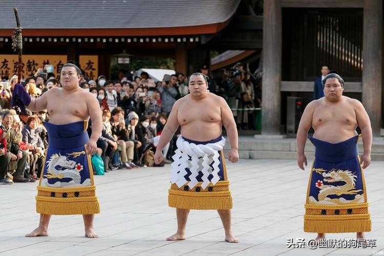 日本的相扑运动员为什么肥_这样才符合标准吗