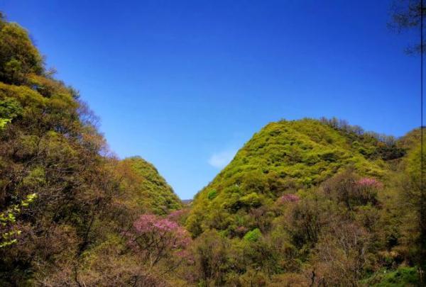 三北防护林为何还挡不住沙尘暴