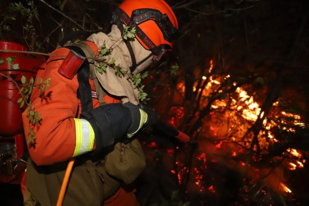 云南山火未灭消防员遇“恐怖”爆燃