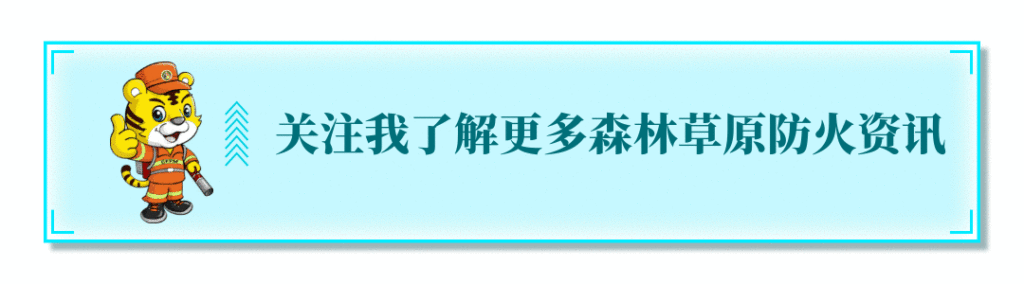 云南山火未灭消防员遇“恐怖”爆燃