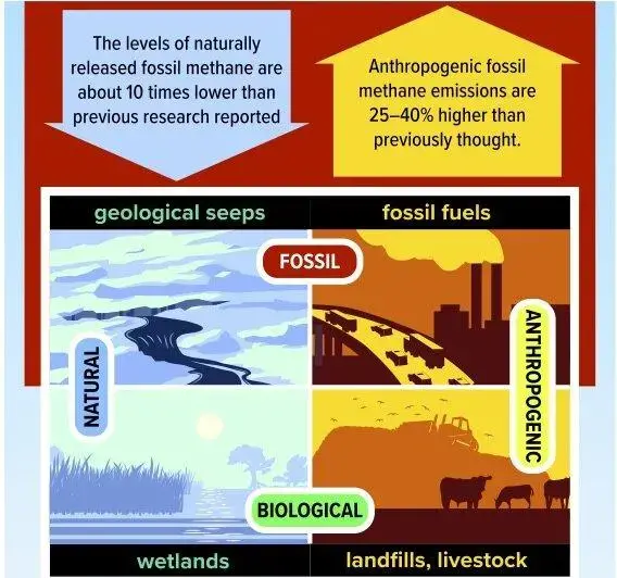 甲烷来源于哪些地方_甲烷有多大影响力