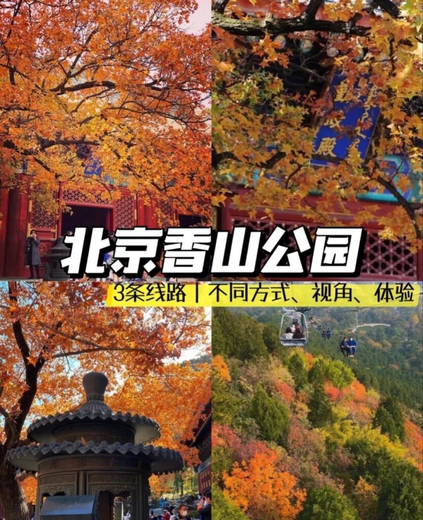 香山怎么去方便_香山游玩攻略