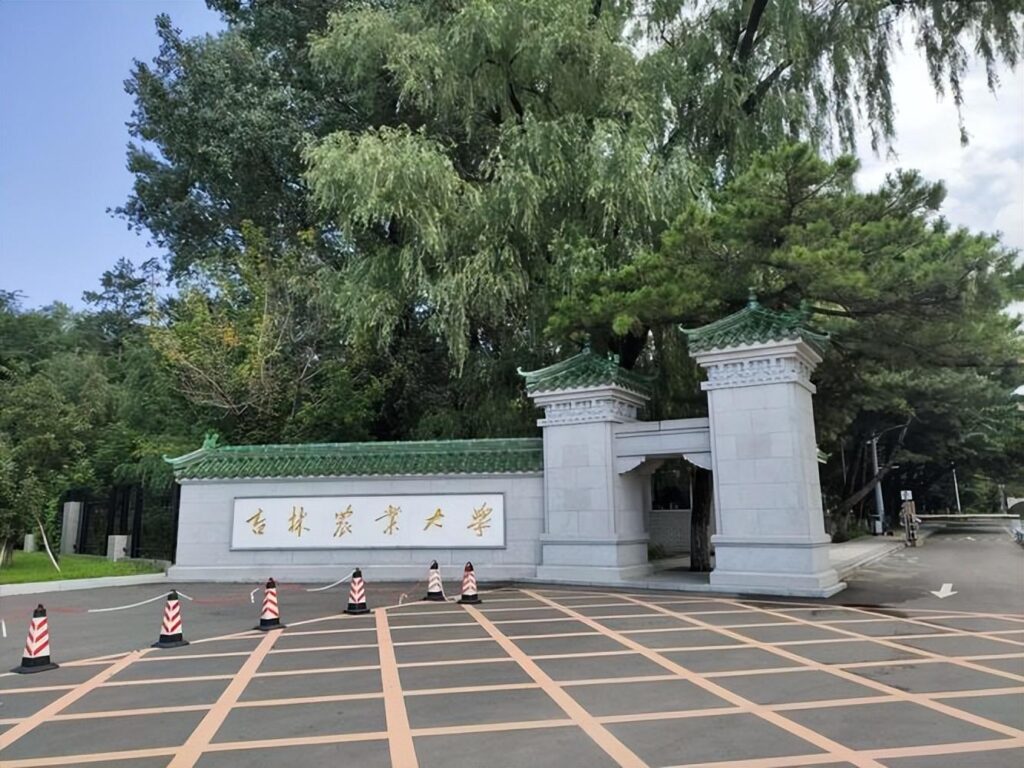 吉林长春有哪些名校_长春十大名校大学