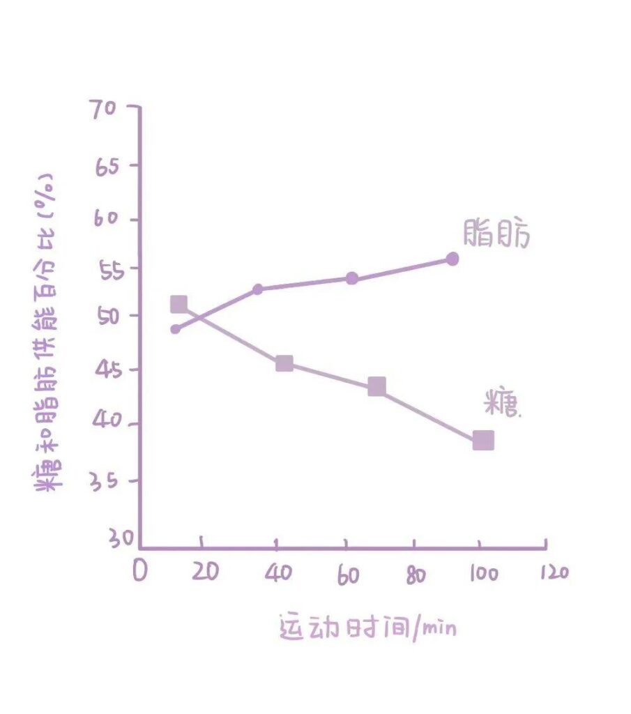 怎样跑才能更好减肥_跑步减肥最佳时间