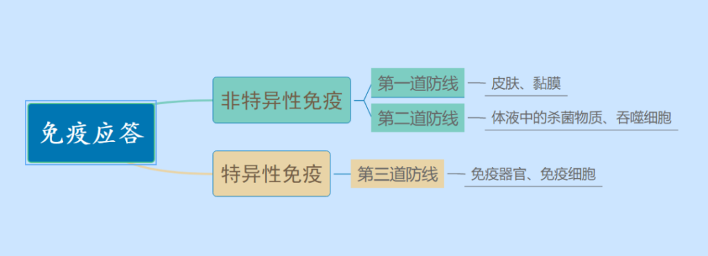 二阳是因为免疫力到期了吗