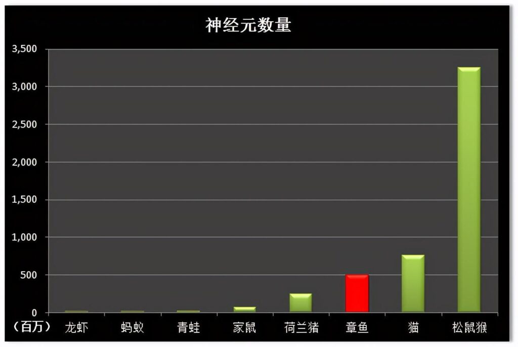 章鱼怎么繁殖_章鱼繁殖技术