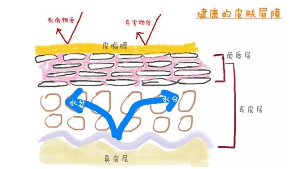 到底要不要去角质_你了解吗