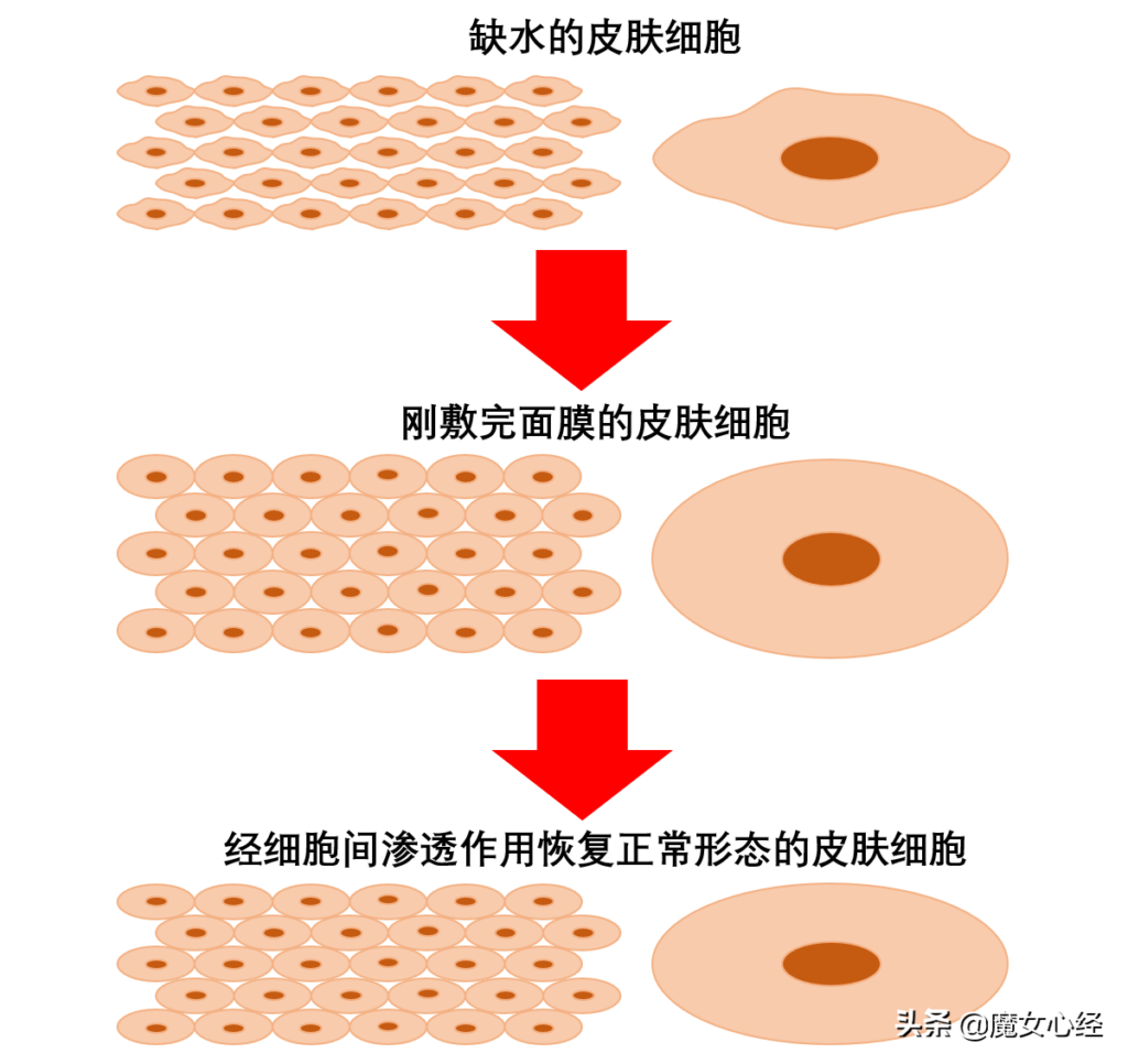 化妆之前要敷面膜吗_一文解答