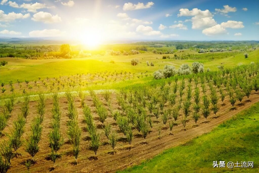 2023年种什么有补贴_农业种植方面有哪些补助