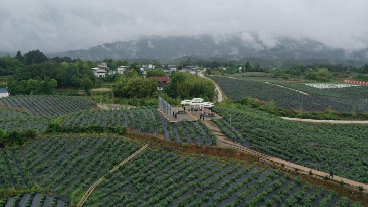 汶川地震“敬礼娃娃”今年要高考