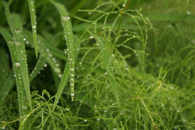 立秋下雨到底好不好_立秋的俗语