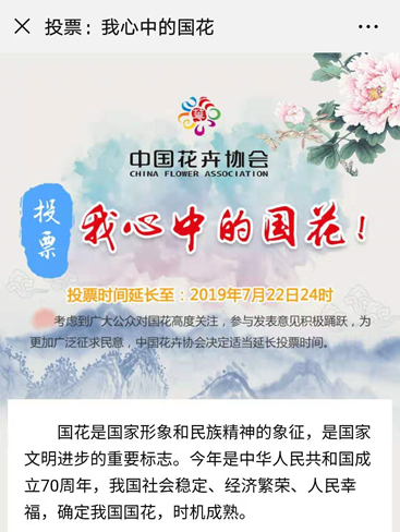 国花要符合什么条件_国花是什么花