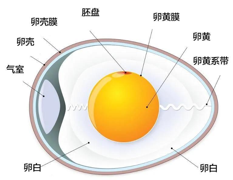 地心温度有多高_为什么地面感觉不到