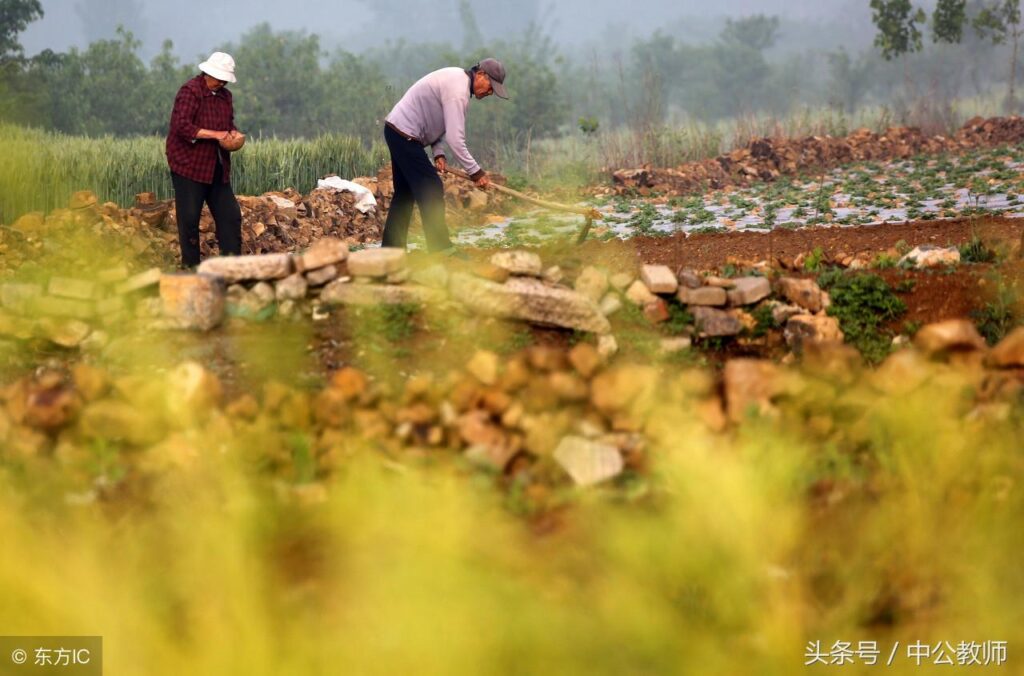 二十四节气是如何命名的_二十四节气命名由来