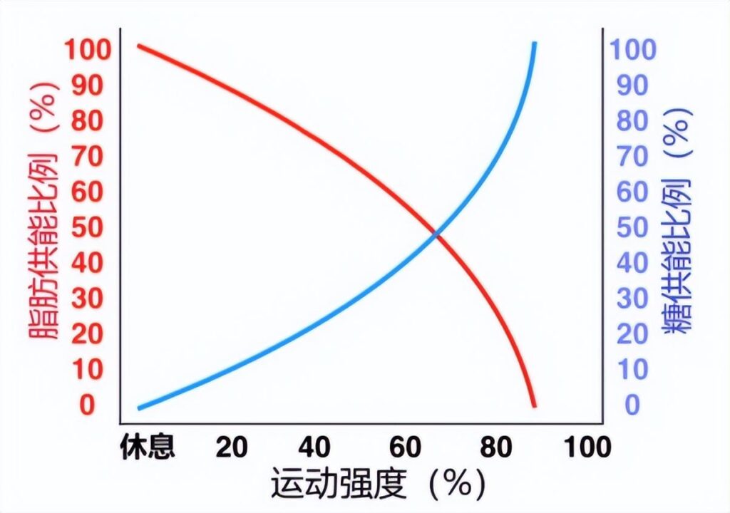 怎样跑才能更好减肥_跑步减肥最佳时间