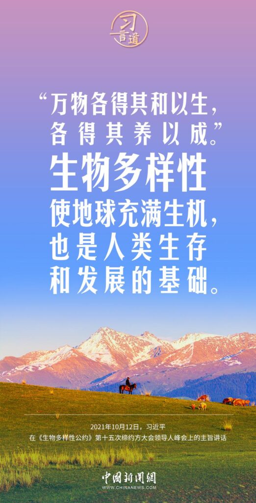 我们要深怀对自然的敬畏之心