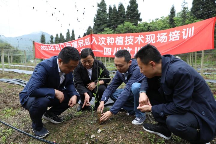 汶川地震“敬礼娃娃”今年要高考