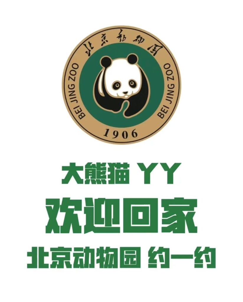 丫丫即将启程回北京