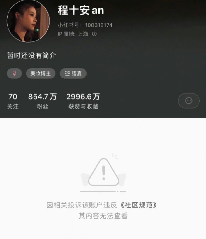 美妆博主程十安小红书账号被封