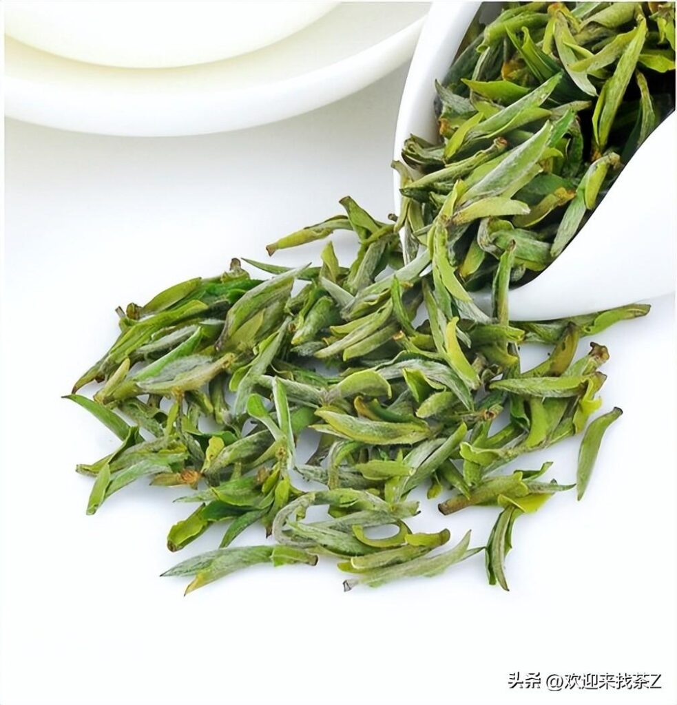 黄山哪种茶比较好喝_黄山什么茶最好喝