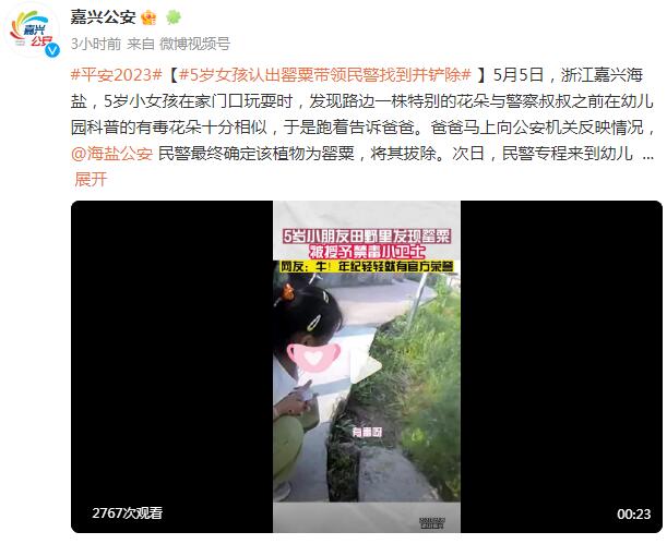 5岁女孩认出罂粟花报警铲除