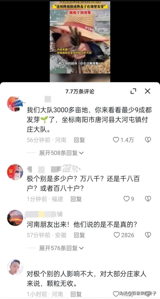 河南79岁老农手捧发芽小麦抹泪