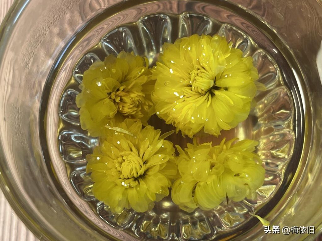 菊花配什么好_菊花加什么好