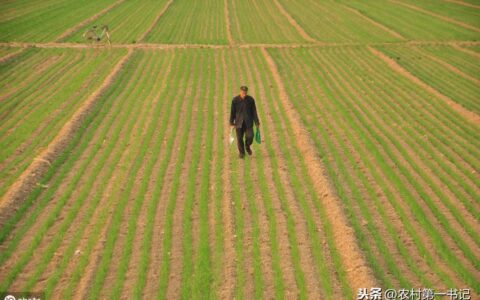 农村土地承包转让合同模板_农村土地承包转让合同范文