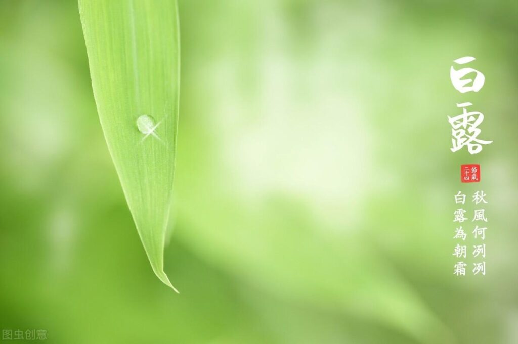 白露是二十四节气中第几个节气_白露时节的传统习俗