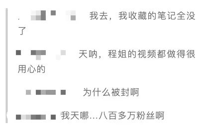 美妆博主程十安小红书账号被封